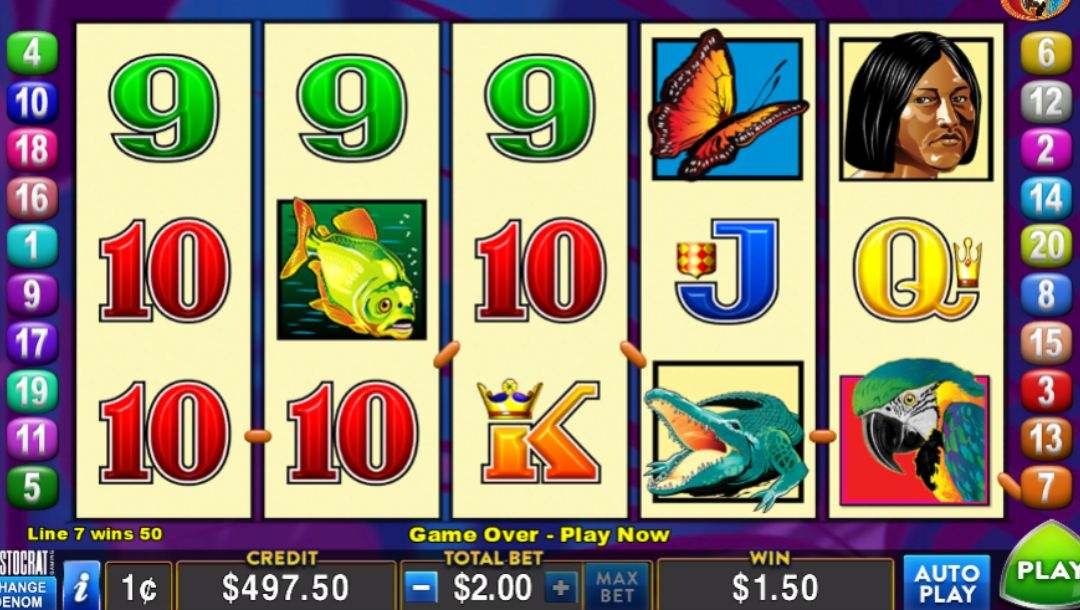 5555bet Cassino Premium